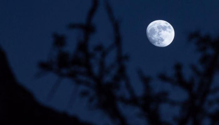 ليلة النصف شعبان 