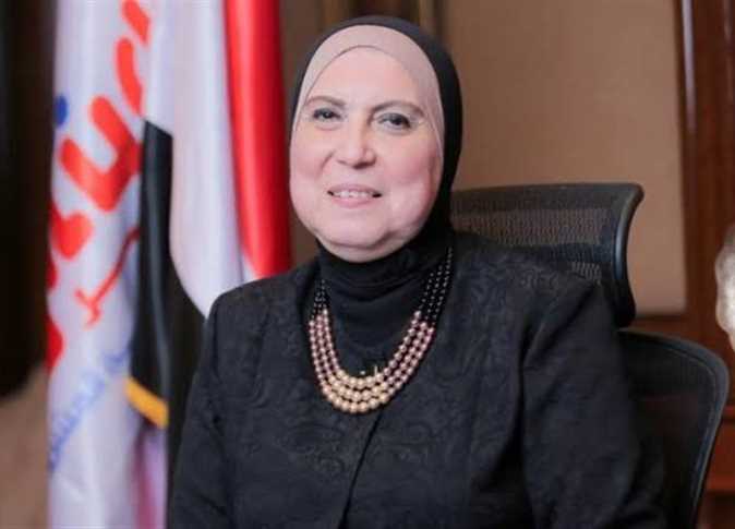 نيفين جامع، وزيرة الصناعة نيفين جامع، وزيرة الصناعة
