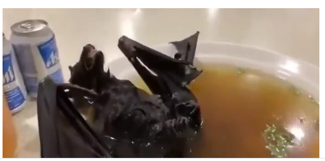 ????? ???????? ????? ????????