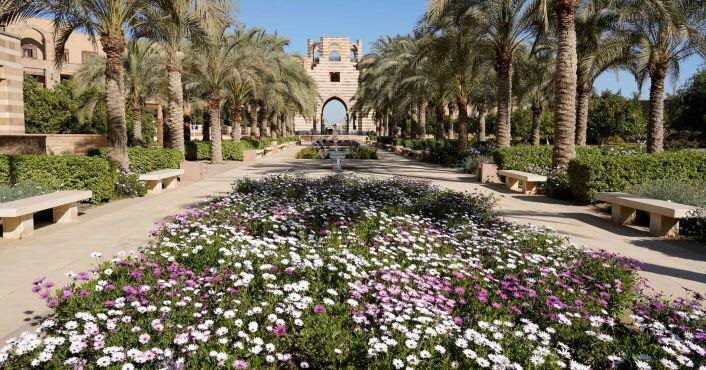 الجامعة الأمريكية بالقاهرة الجامعة الأمريكية بالقاهرة