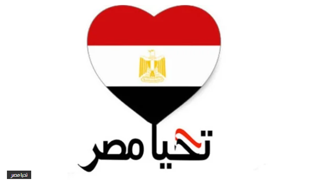 صندوق تحيا مصر صندوق تحيا مصر