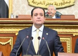 النائب علاء عابد نائب رئيس البرلمان العربى