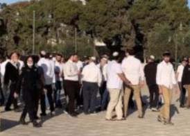 اقتحام مستوطنين إسرائيليين لباحات المسجد الأقصى