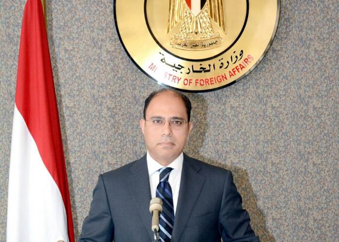 المتحدث الرسمي باسم وزارة الخارجية المصرية