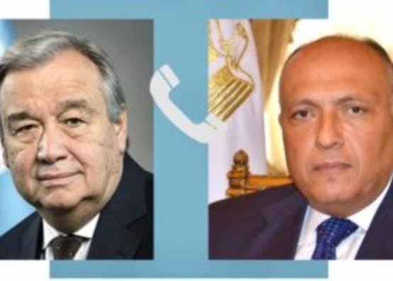  وزير الخارجية المصرية 