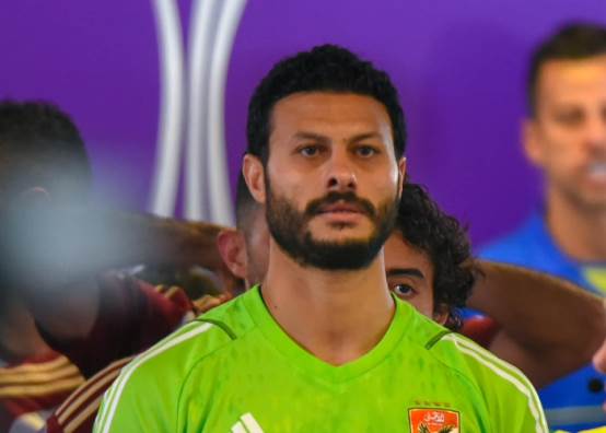 محمد الشناوي 