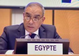 السفير المصري في فرنسا