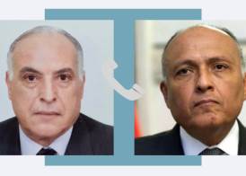 وزيرا خارجية مصر والجزائر