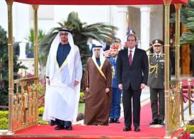 الاستقبال الرسمي للرئيس الإماراتي