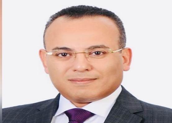  المستشار أحمد فهمى