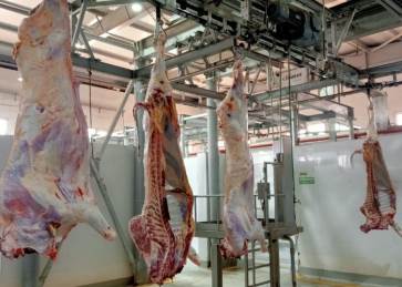 أسعار اللحوم الحمراء 