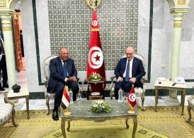 وزيرا خارجية مصر وتونس