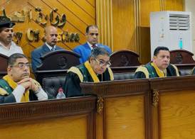  المستشار سامح عبد الحكم رئيس المحكمة