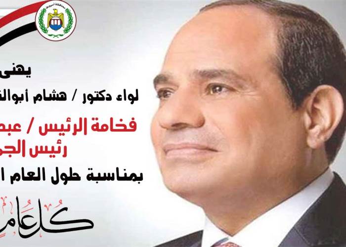 السيسي 