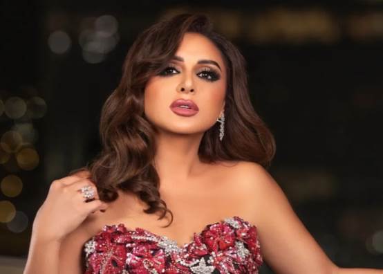 فنانين يشيدون بدور الرئيس السيسي 