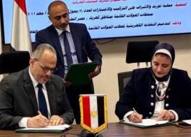 الشركة المصرية للكهرباء 