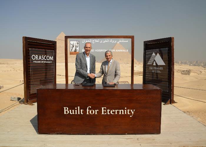 أوراسكوم بيراميدز وجمعية بروك الخيرية  أوراسكوم بيراميدز وجمعية بروك الخيرية