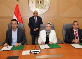 وزير الكهرباء 