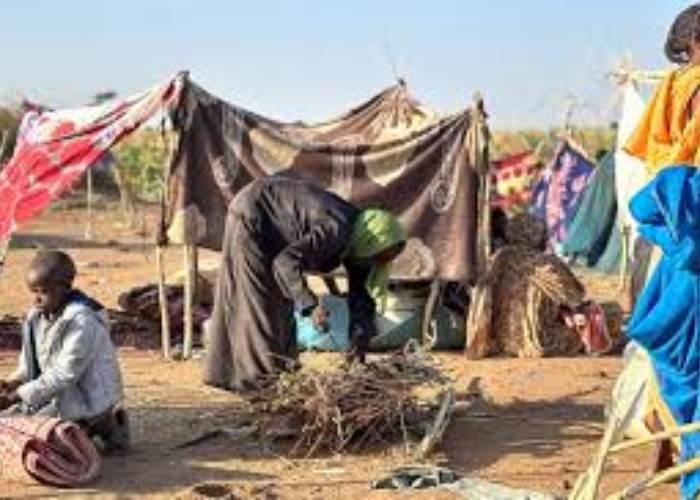 الفاشر السودانية الفاشر السودانية