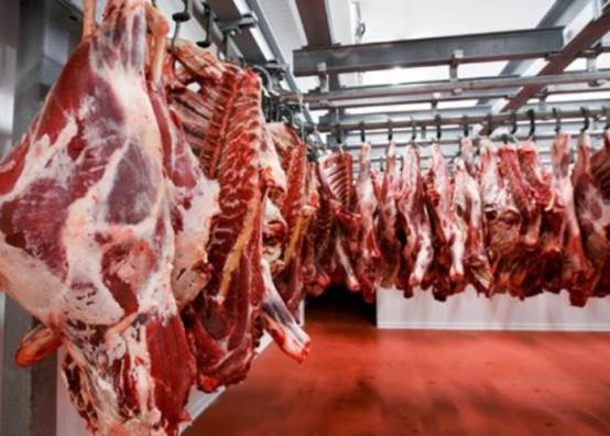 شعبة القصابين 