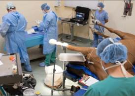 الطب البيطري