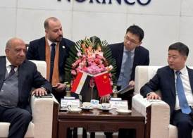 وزير الكهرباء 