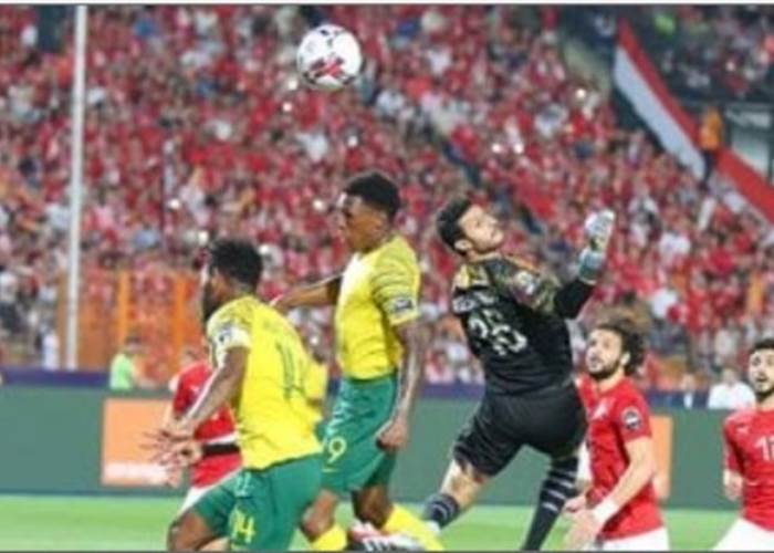   مصر وجنوب أفريقيا