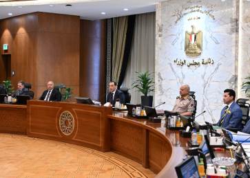 الحكومة المصرية 