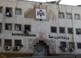 وزارة الزراعة