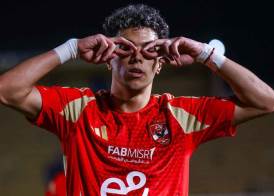 إمام عاشور 