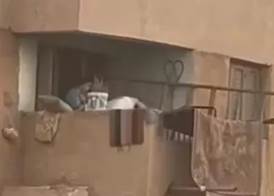  تعدي أب وأم على ابنهما