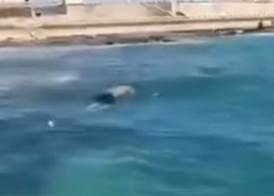 شاب غارق في ليبيا 