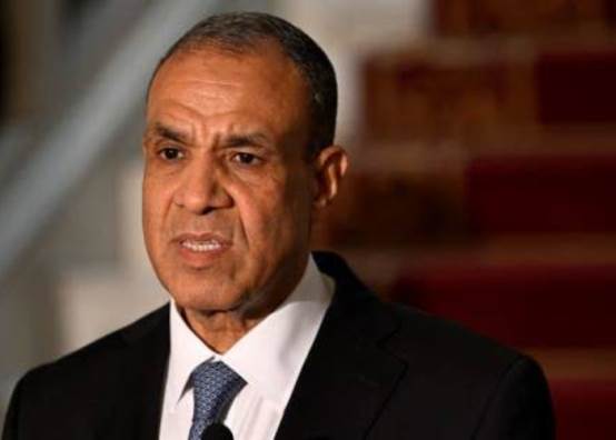 بدر عبد العاطي وزير الخارجية 