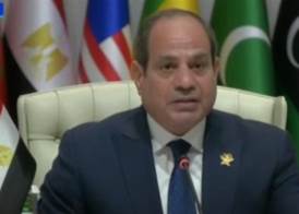 الرئيس عبد الفتاح السيسي