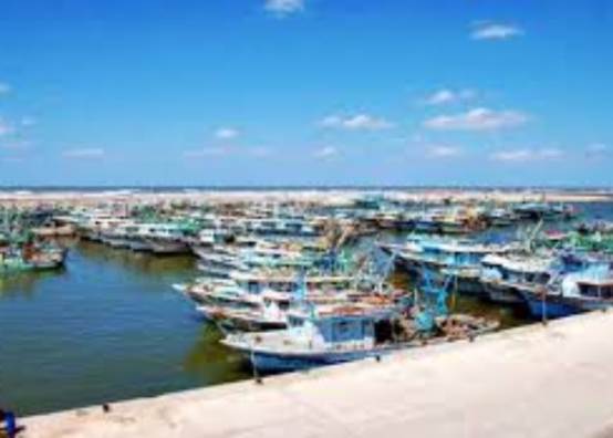 ميناء البرلس