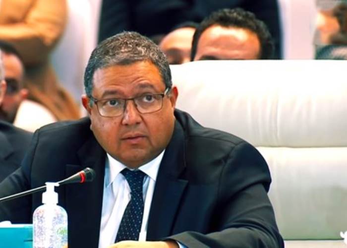 زياد بهاء الدين