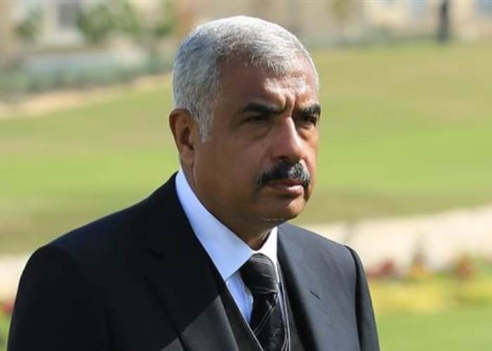 هشام طلعت مصطفى