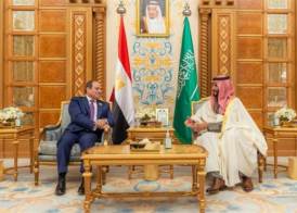 الرئيس عبد الفتاح السيسي وبن سلمان 
