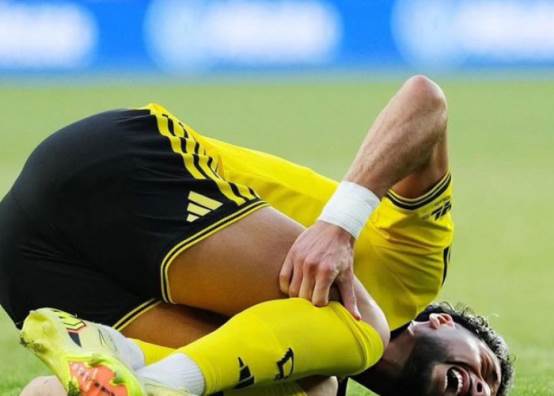 وسام أبو علي 