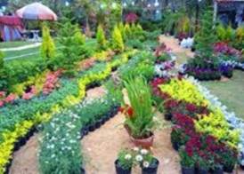 معرض زهور الربيع 