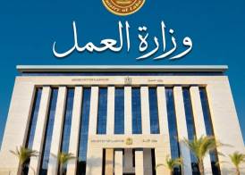 وزارة العمل 