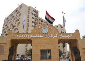 التنظيم والادارة