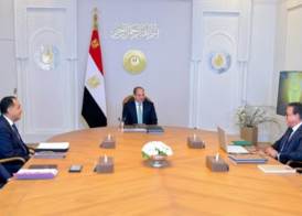 الرئيس السيسي 